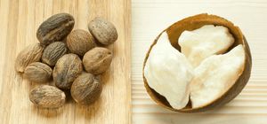 Benefits of Shea Butter for skin